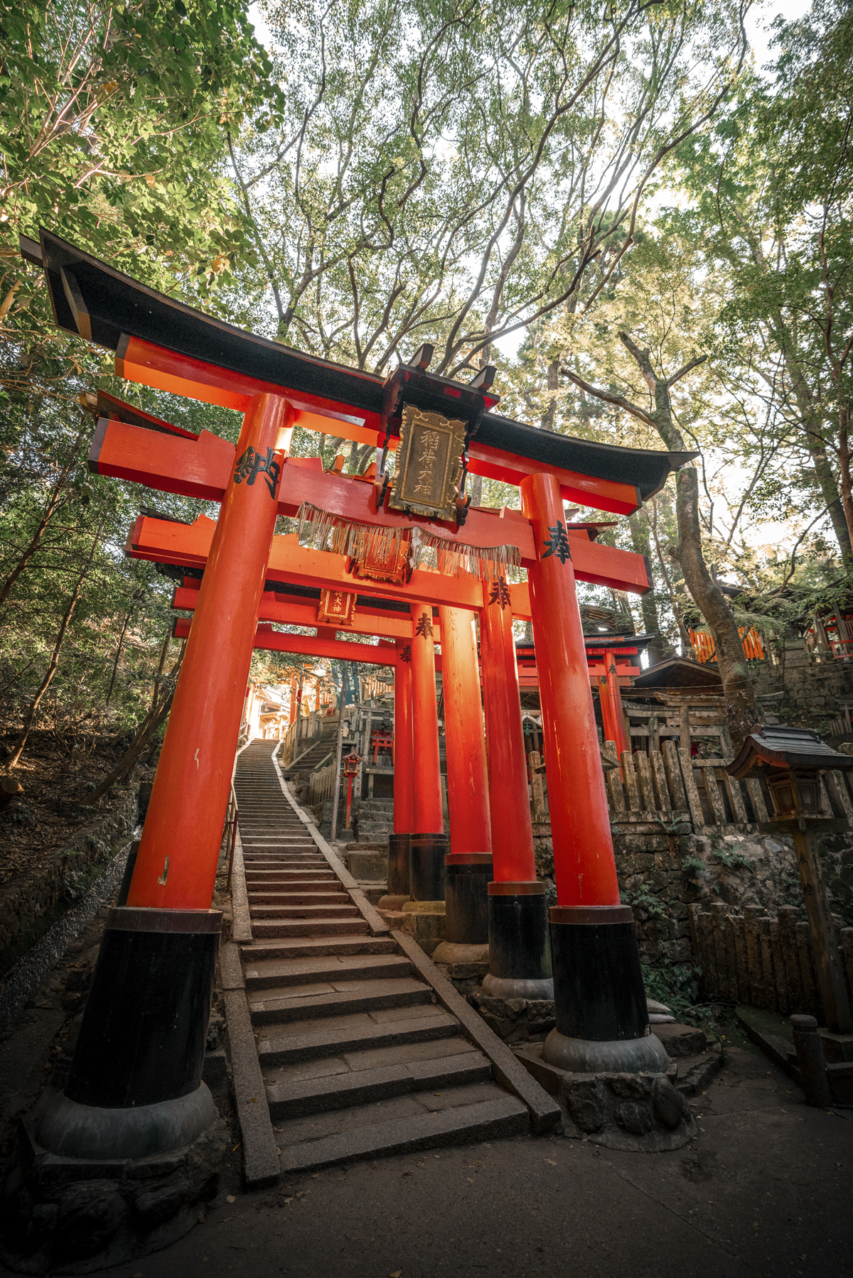 Kyoto  Where tradition meets tourism - Epic Places